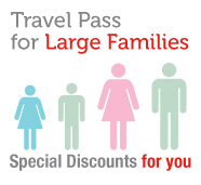 Large families travel card